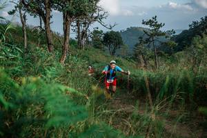 BIB: 
                            <button type="button" onclick="openModal(25268032)" class="btn btn-primary btn-sm float-right btn-popup" data-toggle="modal" data-target=".modal-high-quality">
                        <i class="fas fa-shopping-cart"></i> Add to Cart
                    </button>
                                            <button type="button" onclick="isThisMe(25268032, true)" class="btn btn-success btn-sm float-right btn-popup btn-isme hidden" data-toggle="tooltip" data-placement="bottom" title="นี่คือรูปของคุณใช่ไหม คลิกที่นี่เพื่อเอาเข้าอัลบั้ม">
                        <i class="fas fa-plus"></i> Add to album
                    </button>
                    <button type="button" onclick="isThisMe(25268032, false)" class="btn btn-warning btn-sm float-right btn-popup btn-isnotme hidden">
                        <i class="fas fa-ban"></i> Remove from album
                    </button>