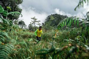 BIB: 
                            <button type="button" onclick="openModal(25278506)" class="btn btn-primary btn-sm float-right btn-popup" data-toggle="modal" data-target=".modal-high-quality">
                        <i class="fas fa-shopping-cart"></i> Add to Cart
                    </button>
                                            <button type="button" onclick="isThisMe(25278506, true)" class="btn btn-success btn-sm float-right btn-popup btn-isme hidden" data-toggle="tooltip" data-placement="bottom" title="นี่คือรูปของคุณใช่ไหม คลิกที่นี่เพื่อเอาเข้าอัลบั้ม">
                        <i class="fas fa-plus"></i> Add to album
                    </button>
                    <button type="button" onclick="isThisMe(25278506, false)" class="btn btn-warning btn-sm float-right btn-popup btn-isnotme hidden">
                        <i class="fas fa-ban"></i> Remove from album
                    </button>