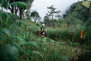 BIB: 
                            <button type="button" onclick="openModal(25273157)" class="btn btn-primary btn-sm float-right btn-popup" data-toggle="modal" data-target=".modal-high-quality">
                        <i class="fas fa-shopping-cart"></i> Add to Cart
                    </button>
                                            <button type="button" onclick="isThisMe(25273157, true)" class="btn btn-success btn-sm float-right btn-popup btn-isme hidden" data-toggle="tooltip" data-placement="bottom" title="นี่คือรูปของคุณใช่ไหม คลิกที่นี่เพื่อเอาเข้าอัลบั้ม">
                        <i class="fas fa-plus"></i> Add to album
                    </button>
                    <button type="button" onclick="isThisMe(25273157, false)" class="btn btn-warning btn-sm float-right btn-popup btn-isnotme hidden">
                        <i class="fas fa-ban"></i> Remove from album
                    </button>