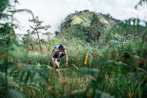 BIB: 
                            <button type="button" onclick="openModal(25272785)" class="btn btn-primary btn-sm float-right btn-popup" data-toggle="modal" data-target=".modal-high-quality">
                        <i class="fas fa-shopping-cart"></i> Add to Cart
                    </button>
                                            <button type="button" onclick="isThisMe(25272785, true)" class="btn btn-success btn-sm float-right btn-popup btn-isme hidden" data-toggle="tooltip" data-placement="bottom" title="นี่คือรูปของคุณใช่ไหม คลิกที่นี่เพื่อเอาเข้าอัลบั้ม">
                        <i class="fas fa-plus"></i> Add to album
                    </button>
                    <button type="button" onclick="isThisMe(25272785, false)" class="btn btn-warning btn-sm float-right btn-popup btn-isnotme hidden">
                        <i class="fas fa-ban"></i> Remove from album
                    </button>