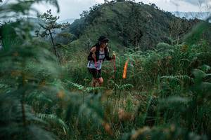 BIB: 
                            <button type="button" onclick="openModal(25265324)" class="btn btn-primary btn-sm float-right btn-popup" data-toggle="modal" data-target=".modal-high-quality">
                        <i class="fas fa-shopping-cart"></i> Add to Cart
                    </button>
                                            <button type="button" onclick="isThisMe(25265324, true)" class="btn btn-success btn-sm float-right btn-popup btn-isme hidden" data-toggle="tooltip" data-placement="bottom" title="นี่คือรูปของคุณใช่ไหม คลิกที่นี่เพื่อเอาเข้าอัลบั้ม">
                        <i class="fas fa-plus"></i> Add to album
                    </button>
                    <button type="button" onclick="isThisMe(25265324, false)" class="btn btn-warning btn-sm float-right btn-popup btn-isnotme hidden">
                        <i class="fas fa-ban"></i> Remove from album
                    </button>