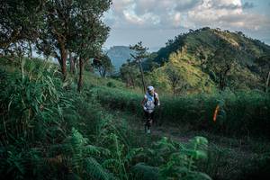 BIB: 
                            <button type="button" onclick="openModal(25264129)" class="btn btn-primary btn-sm float-right btn-popup" data-toggle="modal" data-target=".modal-high-quality">
                        <i class="fas fa-shopping-cart"></i> Add to Cart
                    </button>
                                            <button type="button" onclick="isThisMe(25264129, true)" class="btn btn-success btn-sm float-right btn-popup btn-isme hidden" data-toggle="tooltip" data-placement="bottom" title="นี่คือรูปของคุณใช่ไหม คลิกที่นี่เพื่อเอาเข้าอัลบั้ม">
                        <i class="fas fa-plus"></i> Add to album
                    </button>
                    <button type="button" onclick="isThisMe(25264129, false)" class="btn btn-warning btn-sm float-right btn-popup btn-isnotme hidden">
                        <i class="fas fa-ban"></i> Remove from album
                    </button>