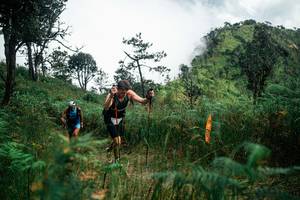 BIB: 
                            <button type="button" onclick="openModal(25277045)" class="btn btn-primary btn-sm float-right btn-popup" data-toggle="modal" data-target=".modal-high-quality">
                        <i class="fas fa-shopping-cart"></i> Add to Cart
                    </button>
                                            <button type="button" onclick="isThisMe(25277045, true)" class="btn btn-success btn-sm float-right btn-popup btn-isme hidden" data-toggle="tooltip" data-placement="bottom" title="นี่คือรูปของคุณใช่ไหม คลิกที่นี่เพื่อเอาเข้าอัลบั้ม">
                        <i class="fas fa-plus"></i> Add to album
                    </button>
                    <button type="button" onclick="isThisMe(25277045, false)" class="btn btn-warning btn-sm float-right btn-popup btn-isnotme hidden">
                        <i class="fas fa-ban"></i> Remove from album
                    </button>