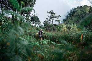 BIB: 
                            <button type="button" onclick="openModal(25277561)" class="btn btn-primary btn-sm float-right btn-popup" data-toggle="modal" data-target=".modal-high-quality">
                        <i class="fas fa-shopping-cart"></i> Add to Cart
                    </button>
                                            <button type="button" onclick="isThisMe(25277561, true)" class="btn btn-success btn-sm float-right btn-popup btn-isme hidden" data-toggle="tooltip" data-placement="bottom" title="นี่คือรูปของคุณใช่ไหม คลิกที่นี่เพื่อเอาเข้าอัลบั้ม">
                        <i class="fas fa-plus"></i> Add to album
                    </button>
                    <button type="button" onclick="isThisMe(25277561, false)" class="btn btn-warning btn-sm float-right btn-popup btn-isnotme hidden">
                        <i class="fas fa-ban"></i> Remove from album
                    </button>