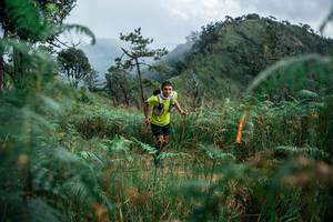 BIB: 
                            <button type="button" onclick="openModal(25265917)" class="btn btn-primary btn-sm float-right btn-popup" data-toggle="modal" data-target=".modal-high-quality">
                        <i class="fas fa-shopping-cart"></i> Add to Cart
                    </button>
                                            <button type="button" onclick="isThisMe(25265917, true)" class="btn btn-success btn-sm float-right btn-popup btn-isme hidden" data-toggle="tooltip" data-placement="bottom" title="นี่คือรูปของคุณใช่ไหม คลิกที่นี่เพื่อเอาเข้าอัลบั้ม">
                        <i class="fas fa-plus"></i> Add to album
                    </button>
                    <button type="button" onclick="isThisMe(25265917, false)" class="btn btn-warning btn-sm float-right btn-popup btn-isnotme hidden">
                        <i class="fas fa-ban"></i> Remove from album
                    </button>