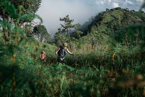 BIB: 
                            <button type="button" onclick="openModal(26101673)" class="btn btn-primary btn-sm float-right btn-popup" data-toggle="modal" data-target=".modal-high-quality">
                        <i class="fas fa-shopping-cart"></i> Add to Cart
                    </button>
                                            <button type="button" onclick="isThisMe(26101673, true)" class="btn btn-success btn-sm float-right btn-popup btn-isme hidden" data-toggle="tooltip" data-placement="bottom" title="นี่คือรูปของคุณใช่ไหม คลิกที่นี่เพื่อเอาเข้าอัลบั้ม">
                        <i class="fas fa-plus"></i> Add to album
                    </button>
                    <button type="button" onclick="isThisMe(26101673, false)" class="btn btn-warning btn-sm float-right btn-popup btn-isnotme hidden">
                        <i class="fas fa-ban"></i> Remove from album
                    </button>