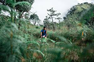 BIB: 
                            <button type="button" onclick="openModal(26088896)" class="btn btn-primary btn-sm float-right btn-popup" data-toggle="modal" data-target=".modal-high-quality">
                        <i class="fas fa-shopping-cart"></i> Add to Cart
                    </button>
                                            <button type="button" onclick="isThisMe(26088896, true)" class="btn btn-success btn-sm float-right btn-popup btn-isme hidden" data-toggle="tooltip" data-placement="bottom" title="นี่คือรูปของคุณใช่ไหม คลิกที่นี่เพื่อเอาเข้าอัลบั้ม">
                        <i class="fas fa-plus"></i> Add to album
                    </button>
                    <button type="button" onclick="isThisMe(26088896, false)" class="btn btn-warning btn-sm float-right btn-popup btn-isnotme hidden">
                        <i class="fas fa-ban"></i> Remove from album
                    </button>