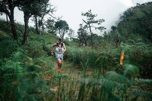 BIB: 
                            <button type="button" onclick="openModal(26085541)" class="btn btn-primary btn-sm float-right btn-popup" data-toggle="modal" data-target=".modal-high-quality">
                        <i class="fas fa-shopping-cart"></i> Add to Cart
                    </button>
                                            <button type="button" onclick="isThisMe(26085541, true)" class="btn btn-success btn-sm float-right btn-popup btn-isme hidden" data-toggle="tooltip" data-placement="bottom" title="นี่คือรูปของคุณใช่ไหม คลิกที่นี่เพื่อเอาเข้าอัลบั้ม">
                        <i class="fas fa-plus"></i> Add to album
                    </button>
                    <button type="button" onclick="isThisMe(26085541, false)" class="btn btn-warning btn-sm float-right btn-popup btn-isnotme hidden">
                        <i class="fas fa-ban"></i> Remove from album
                    </button>