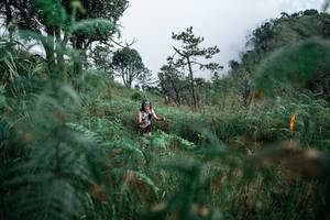 BIB: 
                            <button type="button" onclick="openModal(26089609)" class="btn btn-primary btn-sm float-right btn-popup" data-toggle="modal" data-target=".modal-high-quality">
                        <i class="fas fa-shopping-cart"></i> Add to Cart
                    </button>
                                            <button type="button" onclick="isThisMe(26089609, true)" class="btn btn-success btn-sm float-right btn-popup btn-isme hidden" data-toggle="tooltip" data-placement="bottom" title="นี่คือรูปของคุณใช่ไหม คลิกที่นี่เพื่อเอาเข้าอัลบั้ม">
                        <i class="fas fa-plus"></i> Add to album
                    </button>
                    <button type="button" onclick="isThisMe(26089609, false)" class="btn btn-warning btn-sm float-right btn-popup btn-isnotme hidden">
                        <i class="fas fa-ban"></i> Remove from album
                    </button>