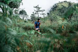 BIB: 
                            <button type="button" onclick="openModal(26088925)" class="btn btn-primary btn-sm float-right btn-popup" data-toggle="modal" data-target=".modal-high-quality">
                        <i class="fas fa-shopping-cart"></i> Add to Cart
                    </button>
                                            <button type="button" onclick="isThisMe(26088925, true)" class="btn btn-success btn-sm float-right btn-popup btn-isme hidden" data-toggle="tooltip" data-placement="bottom" title="นี่คือรูปของคุณใช่ไหม คลิกที่นี่เพื่อเอาเข้าอัลบั้ม">
                        <i class="fas fa-plus"></i> Add to album
                    </button>
                    <button type="button" onclick="isThisMe(26088925, false)" class="btn btn-warning btn-sm float-right btn-popup btn-isnotme hidden">
                        <i class="fas fa-ban"></i> Remove from album
                    </button>