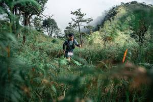 BIB: 
                            <button type="button" onclick="openModal(26093608)" class="btn btn-primary btn-sm float-right btn-popup" data-toggle="modal" data-target=".modal-high-quality">
                        <i class="fas fa-shopping-cart"></i> Add to Cart
                    </button>
                                            <button type="button" onclick="isThisMe(26093608, true)" class="btn btn-success btn-sm float-right btn-popup btn-isme hidden" data-toggle="tooltip" data-placement="bottom" title="นี่คือรูปของคุณใช่ไหม คลิกที่นี่เพื่อเอาเข้าอัลบั้ม">
                        <i class="fas fa-plus"></i> Add to album
                    </button>
                    <button type="button" onclick="isThisMe(26093608, false)" class="btn btn-warning btn-sm float-right btn-popup btn-isnotme hidden">
                        <i class="fas fa-ban"></i> Remove from album
                    </button>