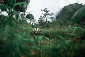 BIB: 
                            <button type="button" onclick="openModal(26086486)" class="btn btn-primary btn-sm float-right btn-popup" data-toggle="modal" data-target=".modal-high-quality">
                        <i class="fas fa-shopping-cart"></i> Add to Cart
                    </button>
                                            <button type="button" onclick="isThisMe(26086486, true)" class="btn btn-success btn-sm float-right btn-popup btn-isme hidden" data-toggle="tooltip" data-placement="bottom" title="นี่คือรูปของคุณใช่ไหม คลิกที่นี่เพื่อเอาเข้าอัลบั้ม">
                        <i class="fas fa-plus"></i> Add to album
                    </button>
                    <button type="button" onclick="isThisMe(26086486, false)" class="btn btn-warning btn-sm float-right btn-popup btn-isnotme hidden">
                        <i class="fas fa-ban"></i> Remove from album
                    </button>