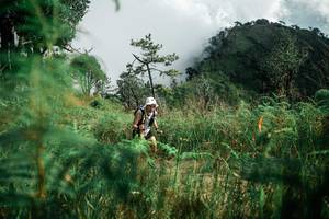 BIB: 
                            <button type="button" onclick="openModal(26086612)" class="btn btn-primary btn-sm float-right btn-popup" data-toggle="modal" data-target=".modal-high-quality">
                        <i class="fas fa-shopping-cart"></i> Add to Cart
                    </button>
                                            <button type="button" onclick="isThisMe(26086612, true)" class="btn btn-success btn-sm float-right btn-popup btn-isme hidden" data-toggle="tooltip" data-placement="bottom" title="นี่คือรูปของคุณใช่ไหม คลิกที่นี่เพื่อเอาเข้าอัลบั้ม">
                        <i class="fas fa-plus"></i> Add to album
                    </button>
                    <button type="button" onclick="isThisMe(26086612, false)" class="btn btn-warning btn-sm float-right btn-popup btn-isnotme hidden">
                        <i class="fas fa-ban"></i> Remove from album
                    </button>