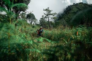 BIB: 
                            <button type="button" onclick="openModal(26086451)" class="btn btn-primary btn-sm float-right btn-popup" data-toggle="modal" data-target=".modal-high-quality">
                        <i class="fas fa-shopping-cart"></i> Add to Cart
                    </button>
                                            <button type="button" onclick="isThisMe(26086451, true)" class="btn btn-success btn-sm float-right btn-popup btn-isme hidden" data-toggle="tooltip" data-placement="bottom" title="นี่คือรูปของคุณใช่ไหม คลิกที่นี่เพื่อเอาเข้าอัลบั้ม">
                        <i class="fas fa-plus"></i> Add to album
                    </button>
                    <button type="button" onclick="isThisMe(26086451, false)" class="btn btn-warning btn-sm float-right btn-popup btn-isnotme hidden">
                        <i class="fas fa-ban"></i> Remove from album
                    </button>