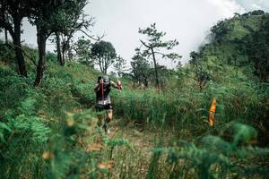 BIB: 
                            <button type="button" onclick="openModal(26085479)" class="btn btn-primary btn-sm float-right btn-popup" data-toggle="modal" data-target=".modal-high-quality">
                        <i class="fas fa-shopping-cart"></i> Add to Cart
                    </button>
                                            <button type="button" onclick="isThisMe(26085479, true)" class="btn btn-success btn-sm float-right btn-popup btn-isme hidden" data-toggle="tooltip" data-placement="bottom" title="นี่คือรูปของคุณใช่ไหม คลิกที่นี่เพื่อเอาเข้าอัลบั้ม">
                        <i class="fas fa-plus"></i> Add to album
                    </button>
                    <button type="button" onclick="isThisMe(26085479, false)" class="btn btn-warning btn-sm float-right btn-popup btn-isnotme hidden">
                        <i class="fas fa-ban"></i> Remove from album
                    </button>