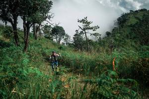 BIB: 
                            <button type="button" onclick="openModal(26087058)" class="btn btn-primary btn-sm float-right btn-popup" data-toggle="modal" data-target=".modal-high-quality">
                        <i class="fas fa-shopping-cart"></i> Add to Cart
                    </button>
                                            <button type="button" onclick="isThisMe(26087058, true)" class="btn btn-success btn-sm float-right btn-popup btn-isme hidden" data-toggle="tooltip" data-placement="bottom" title="นี่คือรูปของคุณใช่ไหม คลิกที่นี่เพื่อเอาเข้าอัลบั้ม">
                        <i class="fas fa-plus"></i> Add to album
                    </button>
                    <button type="button" onclick="isThisMe(26087058, false)" class="btn btn-warning btn-sm float-right btn-popup btn-isnotme hidden">
                        <i class="fas fa-ban"></i> Remove from album
                    </button>