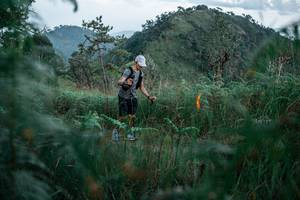 BIB: 
                            <button type="button" onclick="openModal(26119963)" class="btn btn-primary btn-sm float-right btn-popup" data-toggle="modal" data-target=".modal-high-quality">
                        <i class="fas fa-shopping-cart"></i> Add to Cart
                    </button>
                                            <button type="button" onclick="isThisMe(26119963, true)" class="btn btn-success btn-sm float-right btn-popup btn-isme hidden" data-toggle="tooltip" data-placement="bottom" title="นี่คือรูปของคุณใช่ไหม คลิกที่นี่เพื่อเอาเข้าอัลบั้ม">
                        <i class="fas fa-plus"></i> Add to album
                    </button>
                    <button type="button" onclick="isThisMe(26119963, false)" class="btn btn-warning btn-sm float-right btn-popup btn-isnotme hidden">
                        <i class="fas fa-ban"></i> Remove from album
                    </button>