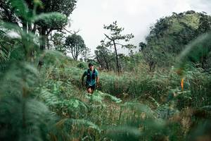 BIB: 
                            <button type="button" onclick="openModal(26086887)" class="btn btn-primary btn-sm float-right btn-popup" data-toggle="modal" data-target=".modal-high-quality">
                        <i class="fas fa-shopping-cart"></i> Add to Cart
                    </button>
                                            <button type="button" onclick="isThisMe(26086887, true)" class="btn btn-success btn-sm float-right btn-popup btn-isme hidden" data-toggle="tooltip" data-placement="bottom" title="นี่คือรูปของคุณใช่ไหม คลิกที่นี่เพื่อเอาเข้าอัลบั้ม">
                        <i class="fas fa-plus"></i> Add to album
                    </button>
                    <button type="button" onclick="isThisMe(26086887, false)" class="btn btn-warning btn-sm float-right btn-popup btn-isnotme hidden">
                        <i class="fas fa-ban"></i> Remove from album
                    </button>