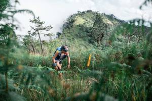 BIB: 
                            <button type="button" onclick="openModal(26090199)" class="btn btn-primary btn-sm float-right btn-popup" data-toggle="modal" data-target=".modal-high-quality">
                        <i class="fas fa-shopping-cart"></i> Add to Cart
                    </button>
                                            <button type="button" onclick="isThisMe(26090199, true)" class="btn btn-success btn-sm float-right btn-popup btn-isme hidden" data-toggle="tooltip" data-placement="bottom" title="นี่คือรูปของคุณใช่ไหม คลิกที่นี่เพื่อเอาเข้าอัลบั้ม">
                        <i class="fas fa-plus"></i> Add to album
                    </button>
                    <button type="button" onclick="isThisMe(26090199, false)" class="btn btn-warning btn-sm float-right btn-popup btn-isnotme hidden">
                        <i class="fas fa-ban"></i> Remove from album
                    </button>