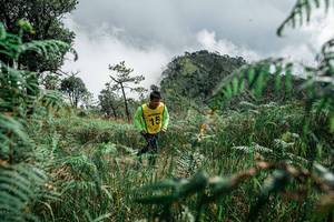 BIB: 
                            <button type="button" onclick="openModal(26085349)" class="btn btn-primary btn-sm float-right btn-popup" data-toggle="modal" data-target=".modal-high-quality">
                        <i class="fas fa-shopping-cart"></i> Add to Cart
                    </button>
                                            <button type="button" onclick="isThisMe(26085349, true)" class="btn btn-success btn-sm float-right btn-popup btn-isme hidden" data-toggle="tooltip" data-placement="bottom" title="นี่คือรูปของคุณใช่ไหม คลิกที่นี่เพื่อเอาเข้าอัลบั้ม">
                        <i class="fas fa-plus"></i> Add to album
                    </button>
                    <button type="button" onclick="isThisMe(26085349, false)" class="btn btn-warning btn-sm float-right btn-popup btn-isnotme hidden">
                        <i class="fas fa-ban"></i> Remove from album
                    </button>