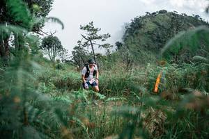 BIB: 
                            <button type="button" onclick="openModal(26089104)" class="btn btn-primary btn-sm float-right btn-popup" data-toggle="modal" data-target=".modal-high-quality">
                        <i class="fas fa-shopping-cart"></i> Add to Cart
                    </button>
                                            <button type="button" onclick="isThisMe(26089104, true)" class="btn btn-success btn-sm float-right btn-popup btn-isme hidden" data-toggle="tooltip" data-placement="bottom" title="นี่คือรูปของคุณใช่ไหม คลิกที่นี่เพื่อเอาเข้าอัลบั้ม">
                        <i class="fas fa-plus"></i> Add to album
                    </button>
                    <button type="button" onclick="isThisMe(26089104, false)" class="btn btn-warning btn-sm float-right btn-popup btn-isnotme hidden">
                        <i class="fas fa-ban"></i> Remove from album
                    </button>