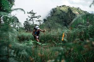 BIB: 
                            <button type="button" onclick="openModal(26088620)" class="btn btn-primary btn-sm float-right btn-popup" data-toggle="modal" data-target=".modal-high-quality">
                        <i class="fas fa-shopping-cart"></i> Add to Cart
                    </button>
                                            <button type="button" onclick="isThisMe(26088620, true)" class="btn btn-success btn-sm float-right btn-popup btn-isme hidden" data-toggle="tooltip" data-placement="bottom" title="นี่คือรูปของคุณใช่ไหม คลิกที่นี่เพื่อเอาเข้าอัลบั้ม">
                        <i class="fas fa-plus"></i> Add to album
                    </button>
                    <button type="button" onclick="isThisMe(26088620, false)" class="btn btn-warning btn-sm float-right btn-popup btn-isnotme hidden">
                        <i class="fas fa-ban"></i> Remove from album
                    </button>