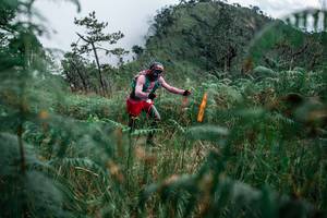 BIB: 
                            <button type="button" onclick="openModal(26089055)" class="btn btn-primary btn-sm float-right btn-popup" data-toggle="modal" data-target=".modal-high-quality">
                        <i class="fas fa-shopping-cart"></i> Add to Cart
                    </button>
                                            <button type="button" onclick="isThisMe(26089055, true)" class="btn btn-success btn-sm float-right btn-popup btn-isme hidden" data-toggle="tooltip" data-placement="bottom" title="นี่คือรูปของคุณใช่ไหม คลิกที่นี่เพื่อเอาเข้าอัลบั้ม">
                        <i class="fas fa-plus"></i> Add to album
                    </button>
                    <button type="button" onclick="isThisMe(26089055, false)" class="btn btn-warning btn-sm float-right btn-popup btn-isnotme hidden">
                        <i class="fas fa-ban"></i> Remove from album
                    </button>