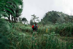 BIB: 
                            <button type="button" onclick="openModal(26085323)" class="btn btn-primary btn-sm float-right btn-popup" data-toggle="modal" data-target=".modal-high-quality">
                        <i class="fas fa-shopping-cart"></i> Add to Cart
                    </button>
                                            <button type="button" onclick="isThisMe(26085323, true)" class="btn btn-success btn-sm float-right btn-popup btn-isme hidden" data-toggle="tooltip" data-placement="bottom" title="นี่คือรูปของคุณใช่ไหม คลิกที่นี่เพื่อเอาเข้าอัลบั้ม">
                        <i class="fas fa-plus"></i> Add to album
                    </button>
                    <button type="button" onclick="isThisMe(26085323, false)" class="btn btn-warning btn-sm float-right btn-popup btn-isnotme hidden">
                        <i class="fas fa-ban"></i> Remove from album
                    </button>