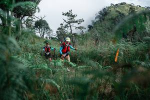 BIB: 
                            <button type="button" onclick="openModal(26089838)" class="btn btn-primary btn-sm float-right btn-popup" data-toggle="modal" data-target=".modal-high-quality">
                        <i class="fas fa-shopping-cart"></i> Add to Cart
                    </button>
                                            <button type="button" onclick="isThisMe(26089838, true)" class="btn btn-success btn-sm float-right btn-popup btn-isme hidden" data-toggle="tooltip" data-placement="bottom" title="นี่คือรูปของคุณใช่ไหม คลิกที่นี่เพื่อเอาเข้าอัลบั้ม">
                        <i class="fas fa-plus"></i> Add to album
                    </button>
                    <button type="button" onclick="isThisMe(26089838, false)" class="btn btn-warning btn-sm float-right btn-popup btn-isnotme hidden">
                        <i class="fas fa-ban"></i> Remove from album
                    </button>