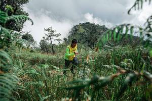 BIB: 
                            <button type="button" onclick="openModal(26085357)" class="btn btn-primary btn-sm float-right btn-popup" data-toggle="modal" data-target=".modal-high-quality">
                        <i class="fas fa-shopping-cart"></i> Add to Cart
                    </button>
                                            <button type="button" onclick="isThisMe(26085357, true)" class="btn btn-success btn-sm float-right btn-popup btn-isme hidden" data-toggle="tooltip" data-placement="bottom" title="นี่คือรูปของคุณใช่ไหม คลิกที่นี่เพื่อเอาเข้าอัลบั้ม">
                        <i class="fas fa-plus"></i> Add to album
                    </button>
                    <button type="button" onclick="isThisMe(26085357, false)" class="btn btn-warning btn-sm float-right btn-popup btn-isnotme hidden">
                        <i class="fas fa-ban"></i> Remove from album
                    </button>