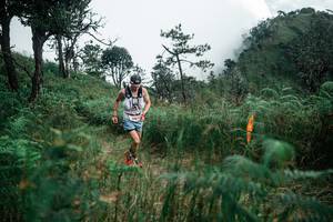 BIB: 
                            <button type="button" onclick="openModal(26085545)" class="btn btn-primary btn-sm float-right btn-popup" data-toggle="modal" data-target=".modal-high-quality">
                        <i class="fas fa-shopping-cart"></i> Add to Cart
                    </button>
                                            <button type="button" onclick="isThisMe(26085545, true)" class="btn btn-success btn-sm float-right btn-popup btn-isme hidden" data-toggle="tooltip" data-placement="bottom" title="นี่คือรูปของคุณใช่ไหม คลิกที่นี่เพื่อเอาเข้าอัลบั้ม">
                        <i class="fas fa-plus"></i> Add to album
                    </button>
                    <button type="button" onclick="isThisMe(26085545, false)" class="btn btn-warning btn-sm float-right btn-popup btn-isnotme hidden">
                        <i class="fas fa-ban"></i> Remove from album
                    </button>