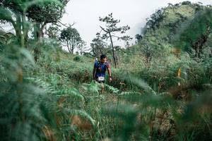 BIB: 
                            <button type="button" onclick="openModal(26088919)" class="btn btn-primary btn-sm float-right btn-popup" data-toggle="modal" data-target=".modal-high-quality">
                        <i class="fas fa-shopping-cart"></i> Add to Cart
                    </button>
                                            <button type="button" onclick="isThisMe(26088919, true)" class="btn btn-success btn-sm float-right btn-popup btn-isme hidden" data-toggle="tooltip" data-placement="bottom" title="นี่คือรูปของคุณใช่ไหม คลิกที่นี่เพื่อเอาเข้าอัลบั้ม">
                        <i class="fas fa-plus"></i> Add to album
                    </button>
                    <button type="button" onclick="isThisMe(26088919, false)" class="btn btn-warning btn-sm float-right btn-popup btn-isnotme hidden">
                        <i class="fas fa-ban"></i> Remove from album
                    </button>