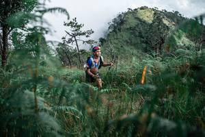 BIB: 
                            <button type="button" onclick="openModal(26089990)" class="btn btn-primary btn-sm float-right btn-popup" data-toggle="modal" data-target=".modal-high-quality">
                        <i class="fas fa-shopping-cart"></i> Add to Cart
                    </button>
                                            <button type="button" onclick="isThisMe(26089990, true)" class="btn btn-success btn-sm float-right btn-popup btn-isme hidden" data-toggle="tooltip" data-placement="bottom" title="นี่คือรูปของคุณใช่ไหม คลิกที่นี่เพื่อเอาเข้าอัลบั้ม">
                        <i class="fas fa-plus"></i> Add to album
                    </button>
                    <button type="button" onclick="isThisMe(26089990, false)" class="btn btn-warning btn-sm float-right btn-popup btn-isnotme hidden">
                        <i class="fas fa-ban"></i> Remove from album
                    </button>