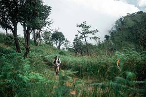 BIB: 
                            <button type="button" onclick="openModal(26086367)" class="btn btn-primary btn-sm float-right btn-popup" data-toggle="modal" data-target=".modal-high-quality">
                        <i class="fas fa-shopping-cart"></i> Add to Cart
                    </button>
                                            <button type="button" onclick="isThisMe(26086367, true)" class="btn btn-success btn-sm float-right btn-popup btn-isme hidden" data-toggle="tooltip" data-placement="bottom" title="นี่คือรูปของคุณใช่ไหม คลิกที่นี่เพื่อเอาเข้าอัลบั้ม">
                        <i class="fas fa-plus"></i> Add to album
                    </button>
                    <button type="button" onclick="isThisMe(26086367, false)" class="btn btn-warning btn-sm float-right btn-popup btn-isnotme hidden">
                        <i class="fas fa-ban"></i> Remove from album
                    </button>