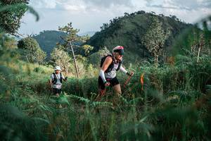 BIB: 
                            <button type="button" onclick="openModal(26120302)" class="btn btn-primary btn-sm float-right btn-popup" data-toggle="modal" data-target=".modal-high-quality">
                        <i class="fas fa-shopping-cart"></i> Add to Cart
                    </button>
                                            <button type="button" onclick="isThisMe(26120302, true)" class="btn btn-success btn-sm float-right btn-popup btn-isme hidden" data-toggle="tooltip" data-placement="bottom" title="นี่คือรูปของคุณใช่ไหม คลิกที่นี่เพื่อเอาเข้าอัลบั้ม">
                        <i class="fas fa-plus"></i> Add to album
                    </button>
                    <button type="button" onclick="isThisMe(26120302, false)" class="btn btn-warning btn-sm float-right btn-popup btn-isnotme hidden">
                        <i class="fas fa-ban"></i> Remove from album
                    </button>