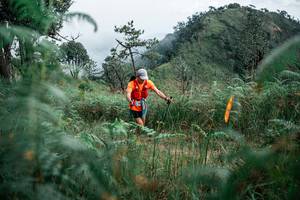 BIB: 
                            <button type="button" onclick="openModal(26092355)" class="btn btn-primary btn-sm float-right btn-popup" data-toggle="modal" data-target=".modal-high-quality">
                        <i class="fas fa-shopping-cart"></i> Add to Cart
                    </button>
                                            <button type="button" onclick="isThisMe(26092355, true)" class="btn btn-success btn-sm float-right btn-popup btn-isme hidden" data-toggle="tooltip" data-placement="bottom" title="นี่คือรูปของคุณใช่ไหม คลิกที่นี่เพื่อเอาเข้าอัลบั้ม">
                        <i class="fas fa-plus"></i> Add to album
                    </button>
                    <button type="button" onclick="isThisMe(26092355, false)" class="btn btn-warning btn-sm float-right btn-popup btn-isnotme hidden">
                        <i class="fas fa-ban"></i> Remove from album
                    </button>