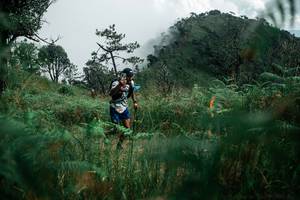 BIB: 
                            <button type="button" onclick="openModal(26086686)" class="btn btn-primary btn-sm float-right btn-popup" data-toggle="modal" data-target=".modal-high-quality">
                        <i class="fas fa-shopping-cart"></i> Add to Cart
                    </button>
                                            <button type="button" onclick="isThisMe(26086686, true)" class="btn btn-success btn-sm float-right btn-popup btn-isme hidden" data-toggle="tooltip" data-placement="bottom" title="นี่คือรูปของคุณใช่ไหม คลิกที่นี่เพื่อเอาเข้าอัลบั้ม">
                        <i class="fas fa-plus"></i> Add to album
                    </button>
                    <button type="button" onclick="isThisMe(26086686, false)" class="btn btn-warning btn-sm float-right btn-popup btn-isnotme hidden">
                        <i class="fas fa-ban"></i> Remove from album
                    </button>