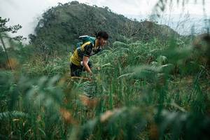 BIB: 
                            <button type="button" onclick="openModal(26086735)" class="btn btn-primary btn-sm float-right btn-popup" data-toggle="modal" data-target=".modal-high-quality">
                        <i class="fas fa-shopping-cart"></i> Add to Cart
                    </button>
                                            <button type="button" onclick="isThisMe(26086735, true)" class="btn btn-success btn-sm float-right btn-popup btn-isme hidden" data-toggle="tooltip" data-placement="bottom" title="นี่คือรูปของคุณใช่ไหม คลิกที่นี่เพื่อเอาเข้าอัลบั้ม">
                        <i class="fas fa-plus"></i> Add to album
                    </button>
                    <button type="button" onclick="isThisMe(26086735, false)" class="btn btn-warning btn-sm float-right btn-popup btn-isnotme hidden">
                        <i class="fas fa-ban"></i> Remove from album
                    </button>