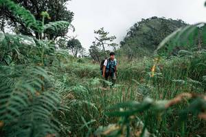 BIB: 
                            <button type="button" onclick="openModal(26085259)" class="btn btn-primary btn-sm float-right btn-popup" data-toggle="modal" data-target=".modal-high-quality">
                        <i class="fas fa-shopping-cart"></i> Add to Cart
                    </button>
                                            <button type="button" onclick="isThisMe(26085259, true)" class="btn btn-success btn-sm float-right btn-popup btn-isme hidden" data-toggle="tooltip" data-placement="bottom" title="นี่คือรูปของคุณใช่ไหม คลิกที่นี่เพื่อเอาเข้าอัลบั้ม">
                        <i class="fas fa-plus"></i> Add to album
                    </button>
                    <button type="button" onclick="isThisMe(26085259, false)" class="btn btn-warning btn-sm float-right btn-popup btn-isnotme hidden">
                        <i class="fas fa-ban"></i> Remove from album
                    </button>