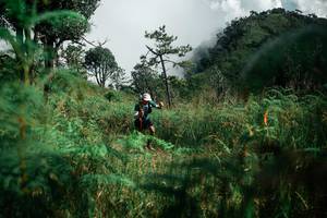 BIB: 
                            <button type="button" onclick="openModal(26086452)" class="btn btn-primary btn-sm float-right btn-popup" data-toggle="modal" data-target=".modal-high-quality">
                        <i class="fas fa-shopping-cart"></i> Add to Cart
                    </button>
                                            <button type="button" onclick="isThisMe(26086452, true)" class="btn btn-success btn-sm float-right btn-popup btn-isme hidden" data-toggle="tooltip" data-placement="bottom" title="นี่คือรูปของคุณใช่ไหม คลิกที่นี่เพื่อเอาเข้าอัลบั้ม">
                        <i class="fas fa-plus"></i> Add to album
                    </button>
                    <button type="button" onclick="isThisMe(26086452, false)" class="btn btn-warning btn-sm float-right btn-popup btn-isnotme hidden">
                        <i class="fas fa-ban"></i> Remove from album
                    </button>