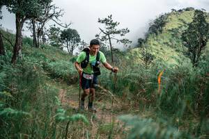 BIB: 
                            <button type="button" onclick="openModal(26099627)" class="btn btn-primary btn-sm float-right btn-popup" data-toggle="modal" data-target=".modal-high-quality">
                        <i class="fas fa-shopping-cart"></i> Add to Cart
                    </button>
                                            <button type="button" onclick="isThisMe(26099627, true)" class="btn btn-success btn-sm float-right btn-popup btn-isme hidden" data-toggle="tooltip" data-placement="bottom" title="นี่คือรูปของคุณใช่ไหม คลิกที่นี่เพื่อเอาเข้าอัลบั้ม">
                        <i class="fas fa-plus"></i> Add to album
                    </button>
                    <button type="button" onclick="isThisMe(26099627, false)" class="btn btn-warning btn-sm float-right btn-popup btn-isnotme hidden">
                        <i class="fas fa-ban"></i> Remove from album
                    </button>