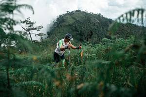 BIB: 
                            <button type="button" onclick="openModal(26086504)" class="btn btn-primary btn-sm float-right btn-popup" data-toggle="modal" data-target=".modal-high-quality">
                        <i class="fas fa-shopping-cart"></i> Add to Cart
                    </button>
                                            <button type="button" onclick="isThisMe(26086504, true)" class="btn btn-success btn-sm float-right btn-popup btn-isme hidden" data-toggle="tooltip" data-placement="bottom" title="นี่คือรูปของคุณใช่ไหม คลิกที่นี่เพื่อเอาเข้าอัลบั้ม">
                        <i class="fas fa-plus"></i> Add to album
                    </button>
                    <button type="button" onclick="isThisMe(26086504, false)" class="btn btn-warning btn-sm float-right btn-popup btn-isnotme hidden">
                        <i class="fas fa-ban"></i> Remove from album
                    </button>