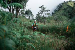 BIB: 
                            <button type="button" onclick="openModal(26090050)" class="btn btn-primary btn-sm float-right btn-popup" data-toggle="modal" data-target=".modal-high-quality">
                        <i class="fas fa-shopping-cart"></i> Add to Cart
                    </button>
                                            <button type="button" onclick="isThisMe(26090050, true)" class="btn btn-success btn-sm float-right btn-popup btn-isme hidden" data-toggle="tooltip" data-placement="bottom" title="นี่คือรูปของคุณใช่ไหม คลิกที่นี่เพื่อเอาเข้าอัลบั้ม">
                        <i class="fas fa-plus"></i> Add to album
                    </button>
                    <button type="button" onclick="isThisMe(26090050, false)" class="btn btn-warning btn-sm float-right btn-popup btn-isnotme hidden">
                        <i class="fas fa-ban"></i> Remove from album
                    </button>