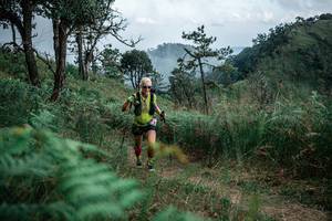 BIB: 
                            <button type="button" onclick="openModal(26095283)" class="btn btn-primary btn-sm float-right btn-popup" data-toggle="modal" data-target=".modal-high-quality">
                        <i class="fas fa-shopping-cart"></i> Add to Cart
                    </button>
                                            <button type="button" onclick="isThisMe(26095283, true)" class="btn btn-success btn-sm float-right btn-popup btn-isme hidden" data-toggle="tooltip" data-placement="bottom" title="นี่คือรูปของคุณใช่ไหม คลิกที่นี่เพื่อเอาเข้าอัลบั้ม">
                        <i class="fas fa-plus"></i> Add to album
                    </button>
                    <button type="button" onclick="isThisMe(26095283, false)" class="btn btn-warning btn-sm float-right btn-popup btn-isnotme hidden">
                        <i class="fas fa-ban"></i> Remove from album
                    </button>