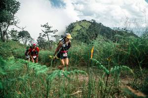 BIB: 
                            <button type="button" onclick="openModal(26087354)" class="btn btn-primary btn-sm float-right btn-popup" data-toggle="modal" data-target=".modal-high-quality">
                        <i class="fas fa-shopping-cart"></i> Add to Cart
                    </button>
                                            <button type="button" onclick="isThisMe(26087354, true)" class="btn btn-success btn-sm float-right btn-popup btn-isme hidden" data-toggle="tooltip" data-placement="bottom" title="นี่คือรูปของคุณใช่ไหม คลิกที่นี่เพื่อเอาเข้าอัลบั้ม">
                        <i class="fas fa-plus"></i> Add to album
                    </button>
                    <button type="button" onclick="isThisMe(26087354, false)" class="btn btn-warning btn-sm float-right btn-popup btn-isnotme hidden">
                        <i class="fas fa-ban"></i> Remove from album
                    </button>