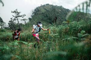 BIB: 
                            <button type="button" onclick="openModal(26086761)" class="btn btn-primary btn-sm float-right btn-popup" data-toggle="modal" data-target=".modal-high-quality">
                        <i class="fas fa-shopping-cart"></i> Add to Cart
                    </button>
                                            <button type="button" onclick="isThisMe(26086761, true)" class="btn btn-success btn-sm float-right btn-popup btn-isme hidden" data-toggle="tooltip" data-placement="bottom" title="นี่คือรูปของคุณใช่ไหม คลิกที่นี่เพื่อเอาเข้าอัลบั้ม">
                        <i class="fas fa-plus"></i> Add to album
                    </button>
                    <button type="button" onclick="isThisMe(26086761, false)" class="btn btn-warning btn-sm float-right btn-popup btn-isnotme hidden">
                        <i class="fas fa-ban"></i> Remove from album
                    </button>