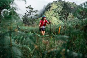 BIB: 
                            <button type="button" onclick="openModal(26093517)" class="btn btn-primary btn-sm float-right btn-popup" data-toggle="modal" data-target=".modal-high-quality">
                        <i class="fas fa-shopping-cart"></i> Add to Cart
                    </button>
                                            <button type="button" onclick="isThisMe(26093517, true)" class="btn btn-success btn-sm float-right btn-popup btn-isme hidden" data-toggle="tooltip" data-placement="bottom" title="นี่คือรูปของคุณใช่ไหม คลิกที่นี่เพื่อเอาเข้าอัลบั้ม">
                        <i class="fas fa-plus"></i> Add to album
                    </button>
                    <button type="button" onclick="isThisMe(26093517, false)" class="btn btn-warning btn-sm float-right btn-popup btn-isnotme hidden">
                        <i class="fas fa-ban"></i> Remove from album
                    </button>