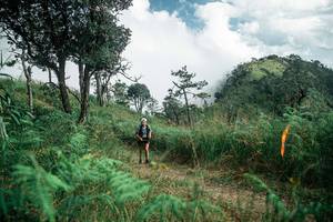 BIB: 
                            <button type="button" onclick="openModal(26087433)" class="btn btn-primary btn-sm float-right btn-popup" data-toggle="modal" data-target=".modal-high-quality">
                        <i class="fas fa-shopping-cart"></i> Add to Cart
                    </button>
                                            <button type="button" onclick="isThisMe(26087433, true)" class="btn btn-success btn-sm float-right btn-popup btn-isme hidden" data-toggle="tooltip" data-placement="bottom" title="นี่คือรูปของคุณใช่ไหม คลิกที่นี่เพื่อเอาเข้าอัลบั้ม">
                        <i class="fas fa-plus"></i> Add to album
                    </button>
                    <button type="button" onclick="isThisMe(26087433, false)" class="btn btn-warning btn-sm float-right btn-popup btn-isnotme hidden">
                        <i class="fas fa-ban"></i> Remove from album
                    </button>