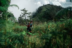 BIB: 
                            <button type="button" onclick="openModal(26086455)" class="btn btn-primary btn-sm float-right btn-popup" data-toggle="modal" data-target=".modal-high-quality">
                        <i class="fas fa-shopping-cart"></i> Add to Cart
                    </button>
                                            <button type="button" onclick="isThisMe(26086455, true)" class="btn btn-success btn-sm float-right btn-popup btn-isme hidden" data-toggle="tooltip" data-placement="bottom" title="นี่คือรูปของคุณใช่ไหม คลิกที่นี่เพื่อเอาเข้าอัลบั้ม">
                        <i class="fas fa-plus"></i> Add to album
                    </button>
                    <button type="button" onclick="isThisMe(26086455, false)" class="btn btn-warning btn-sm float-right btn-popup btn-isnotme hidden">
                        <i class="fas fa-ban"></i> Remove from album
                    </button>