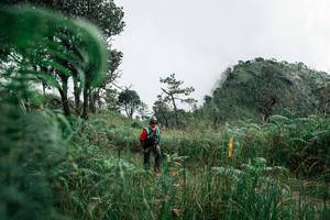 BIB: 
                            <button type="button" onclick="openModal(26085291)" class="btn btn-primary btn-sm float-right btn-popup" data-toggle="modal" data-target=".modal-high-quality">
                        <i class="fas fa-shopping-cart"></i> Add to Cart
                    </button>
                                            <button type="button" onclick="isThisMe(26085291, true)" class="btn btn-success btn-sm float-right btn-popup btn-isme hidden" data-toggle="tooltip" data-placement="bottom" title="นี่คือรูปของคุณใช่ไหม คลิกที่นี่เพื่อเอาเข้าอัลบั้ม">
                        <i class="fas fa-plus"></i> Add to album
                    </button>
                    <button type="button" onclick="isThisMe(26085291, false)" class="btn btn-warning btn-sm float-right btn-popup btn-isnotme hidden">
                        <i class="fas fa-ban"></i> Remove from album
                    </button>